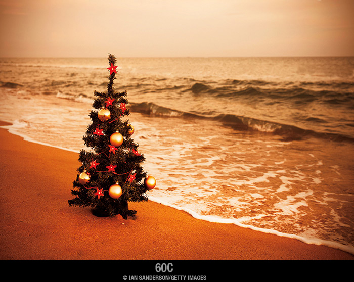 ChristmasTree-on-the-Beach-Holiday-Card