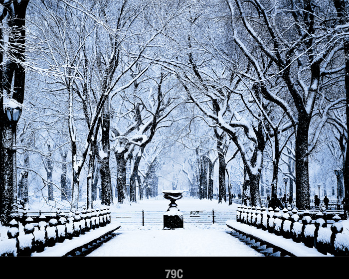 central_park_in_snow_Christmas_Holiday_card